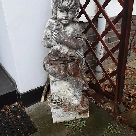 D'n Engel